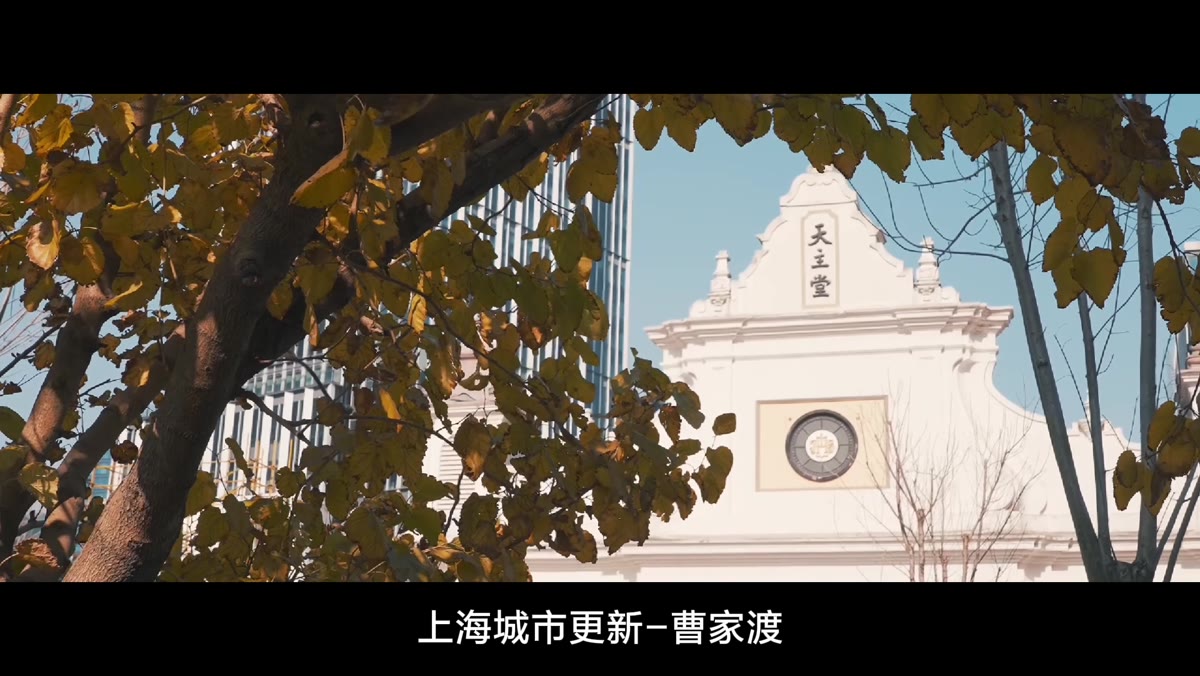 个人作品混剪中的上海街景：梧桐树下的教堂与城市建筑